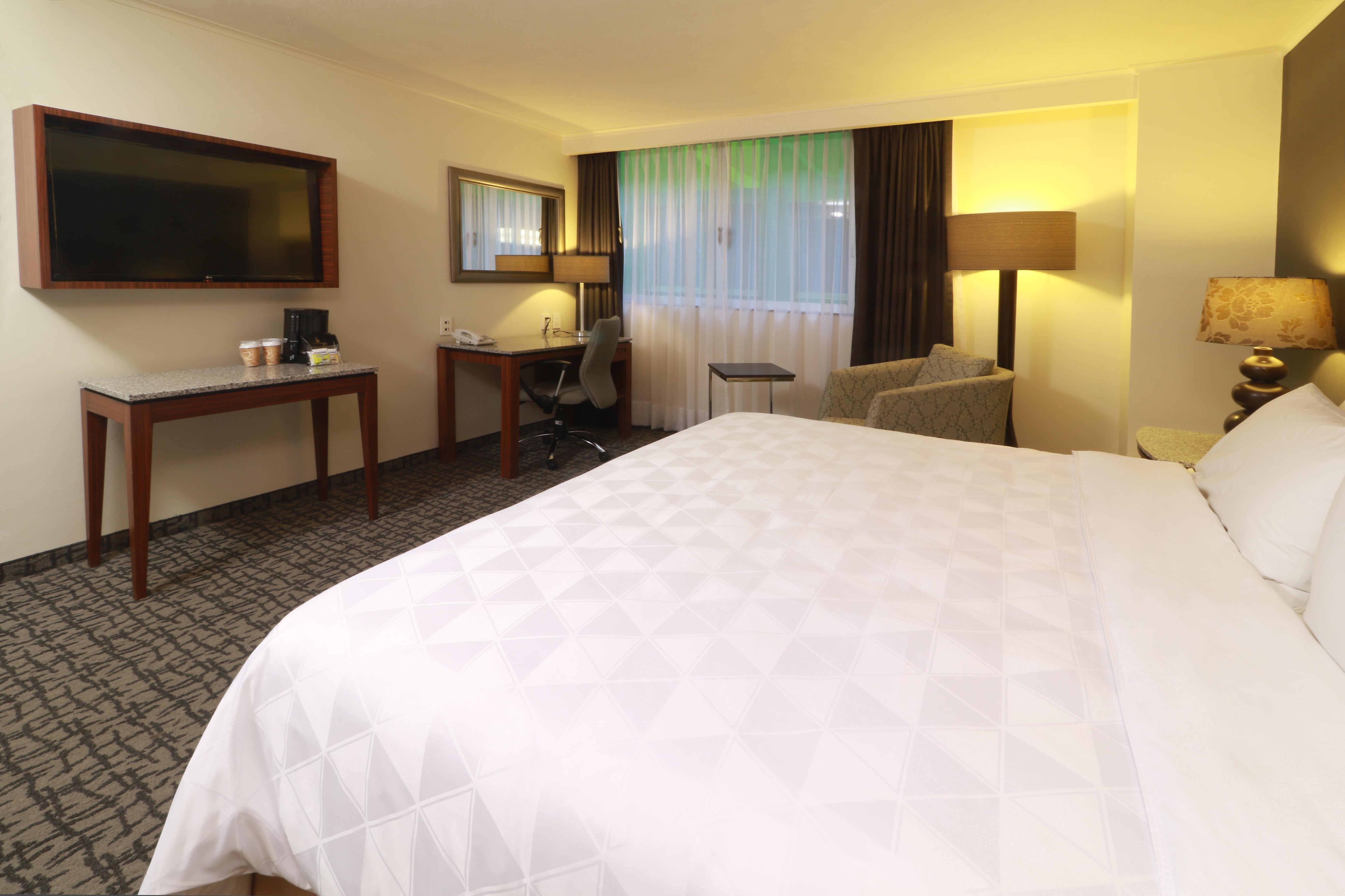 Holiday Inn Mexico City - Trade Center By Ihg Esterno foto